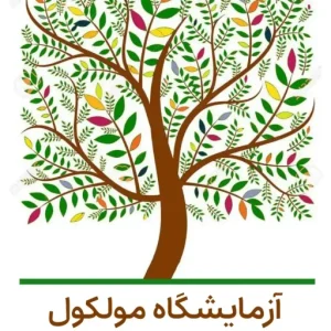آزمایشگاه مولکول